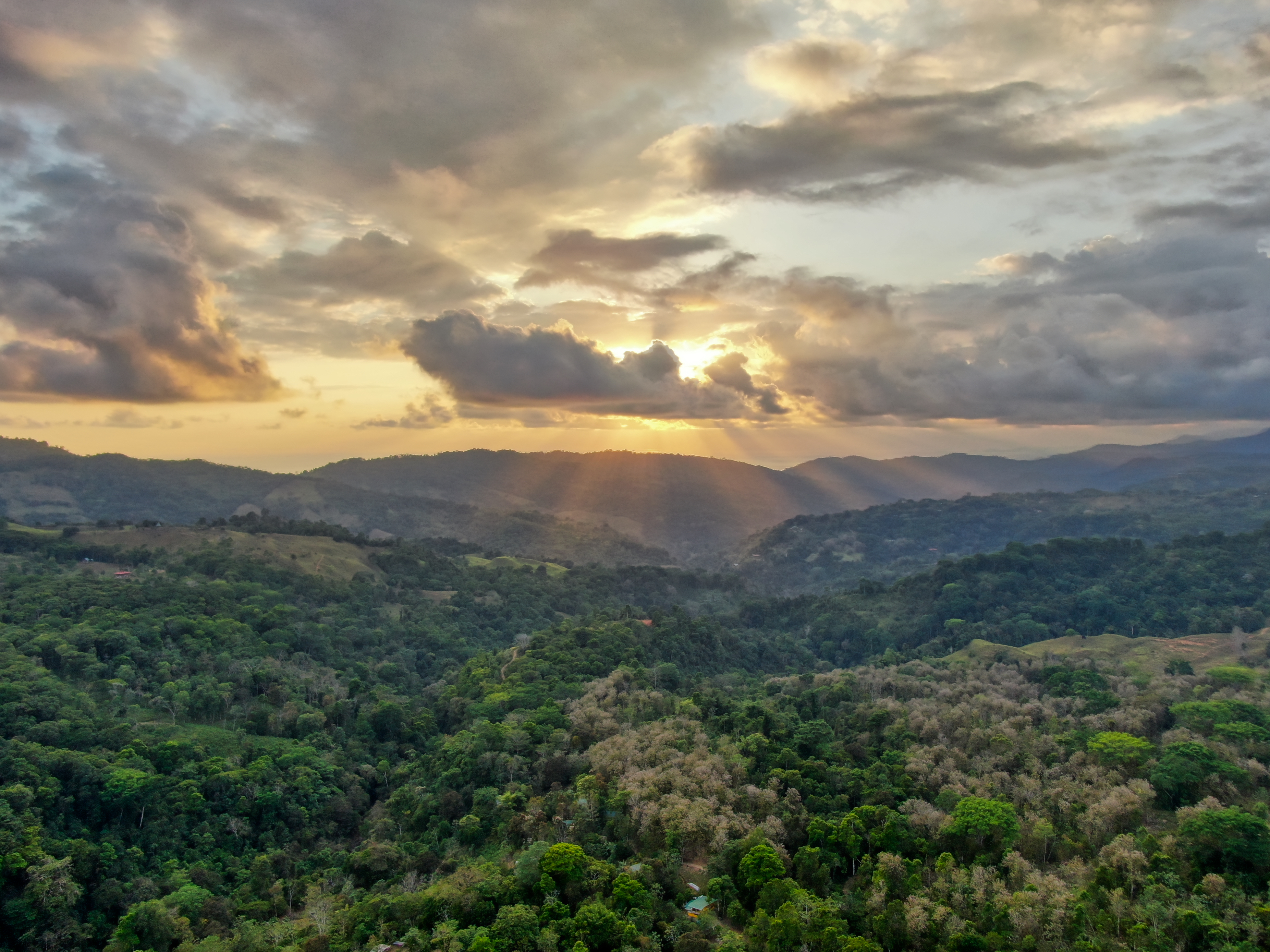 Yoga Class in Nature at Florestral Retreat Center