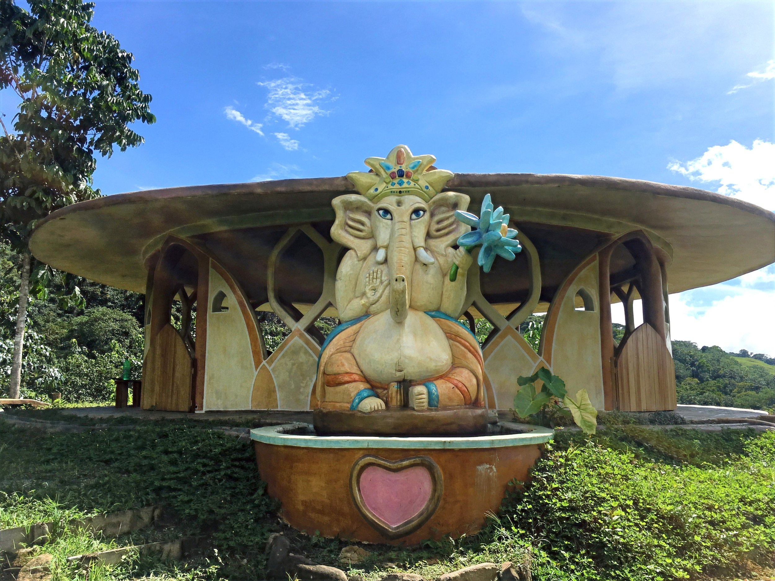 Yoga Students Meditating Outdoors at Florestral Retreat Center