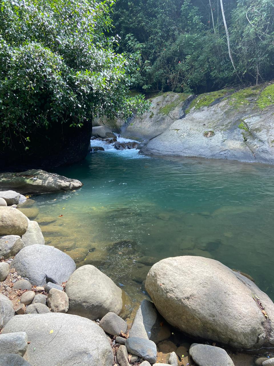 River Yoga Session at Florestral Retreat Center